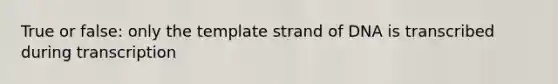 True or false: only the template strand of DNA is transcribed during transcription