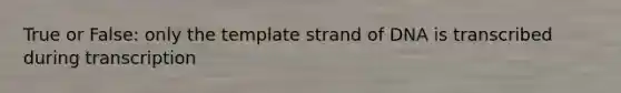 True or False: only the template strand of DNA is transcribed during transcription