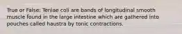 True or False: Teniae coli are bands of longitudinal smooth muscle found in the large intestine which are gathered into pouches called haustra by tonic contractions.