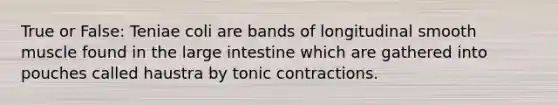 True or False: Teniae coli are bands of longitudinal smooth muscle found in the large intestine which are gathered into pouches called haustra by tonic contractions.