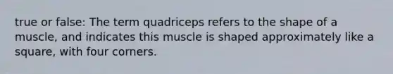 true or false: The term quadriceps refers to the shape of a muscle, and indicates this muscle is shaped approximately like a square, with four corners.