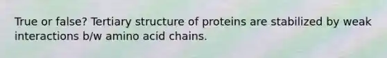 True or false? Tertiary structure of proteins are stabilized by weak interactions b/w amino acid chains.