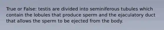 True or False: testis are divided into seminiferous tubules which contain the lobules that produce sperm and the ejaculatory duct that allows the sperm to be ejected from the body.