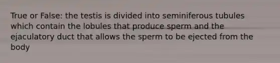 True or False: the testis is divided into seminiferous tubules which contain the lobules that produce sperm and the ejaculatory duct that allows the sperm to be ejected from the body