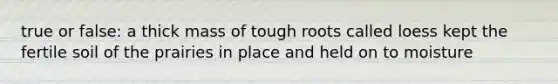 true or false: a thick mass of tough roots called loess kept the fertile soil of the prairies in place and held on to moisture