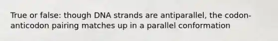 True or false: though DNA strands are antiparallel, the codon-anticodon pairing matches up in a parallel conformation