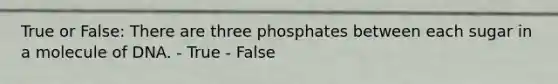 True or False: There are three phosphates between each sugar in a molecule of DNA. - True - False