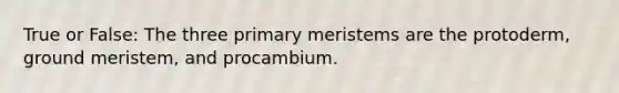 True or False: The three primary meristems are the protoderm, ground meristem, and procambium.