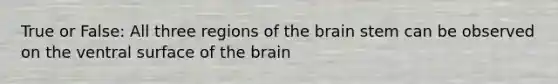 True or False: All three regions of the brain stem can be observed on the ventral surface of the brain