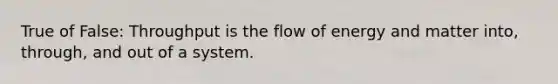 True of False: Throughput is the flow of energy and matter into, through, and out of a system.