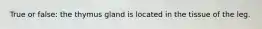 True or false: the thymus gland is located in the tissue of the leg.