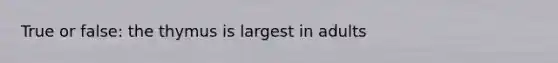 True or false: the thymus is largest in adults