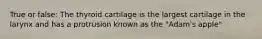 True or false: The thyroid cartilage is the largest cartilage in the larynx and has a protrusion known as the "Adam's apple"