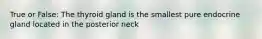 True or False: The thyroid gland is the smallest pure endocrine gland located in the posterior neck