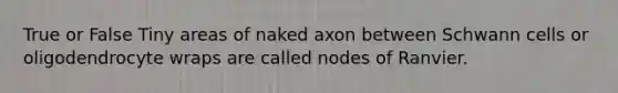 True or False Tiny areas of naked axon between Schwann cells or oligodendrocyte wraps are called nodes of Ranvier.