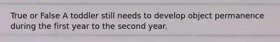 True or False A toddler still needs to develop object permanence during the first year to the second year.