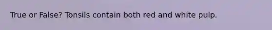 True or False? Tonsils contain both red and white pulp.