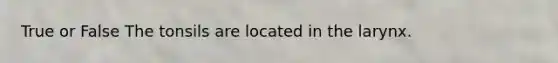 True or False The tonsils are located in the larynx.