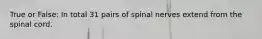 True or False: In total 31 pairs of spinal nerves extend from the spinal cord.