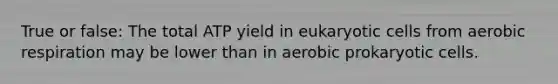 True or false: The total ATP yield in eukaryotic cells from aerobic respiration may be lower than in aerobic prokaryotic cells.