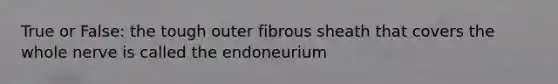 True or False: the tough outer fibrous sheath that covers the whole nerve is called the endoneurium