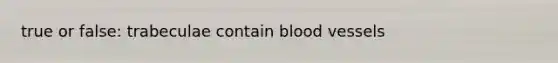 true or false: trabeculae contain blood vessels