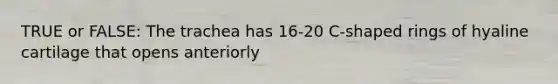 TRUE or FALSE: The trachea has 16-20 C-shaped rings of hyaline cartilage that opens anteriorly