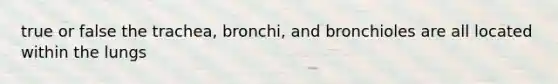 true or false the trachea, bronchi, and bronchioles are all located within the lungs