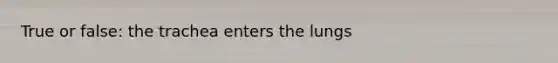True or false: the trachea enters the lungs