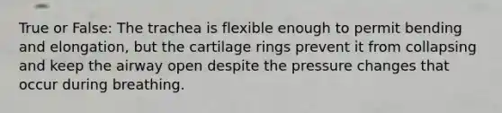 True or False: The trachea is flexible enough to permit bending and elongation, but the cartilage rings prevent it from collapsing and keep the airway open despite the pressure changes that occur during breathing.