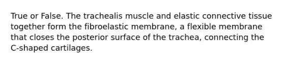 True or False. The trachealis muscle and elastic <a href='https://www.questionai.com/knowledge/kYDr0DHyc8-connective-tissue' class='anchor-knowledge'>connective tissue</a> together form the fibroelastic membrane, a flexible membrane that closes the posterior surface of the trachea, connecting the C-shaped cartilages.