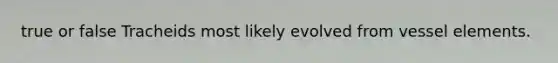 true or false Tracheids most likely evolved from vessel elements.