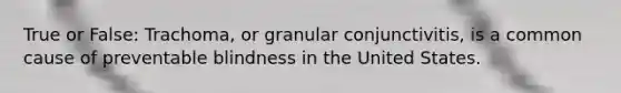 True or False: Trachoma, or granular conjunctivitis, is a common cause of preventable blindness in the United States.