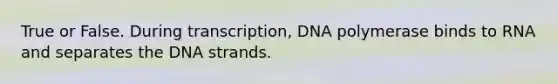 True or False. During transcription, DNA polymerase binds to RNA and separates the DNA strands.