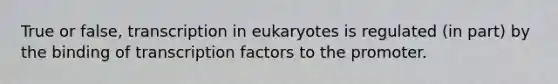 True or false, transcription in eukaryotes is regulated (in part) by the binding of transcription factors to the promoter.