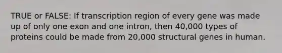 TRUE or FALSE: If transcription region of every gene was made up of only one exon and one intron, then 40,000 types of proteins could be made from 20,000 structural genes in human.