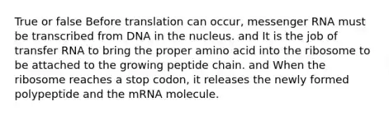 True or false Before translation can occur, messenger RNA must be transcribed from DNA in the nucleus. and It is the job of transfer RNA to bring the proper amino acid into the ribosome to be attached to the growing peptide chain. and When the ribosome reaches a stop codon, it releases the newly formed polypeptide and the mRNA molecule.