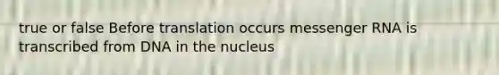 true or false Before translation occurs messenger RNA is transcribed from DNA in the nucleus