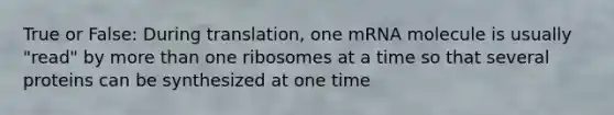 True or False: During translation, one mRNA molecule is usually "read" by more than one ribosomes at a time so that several proteins can be synthesized at one time