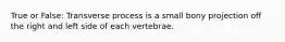 True or False: Transverse process is a small bony projection off the right and left side of each vertebrae.