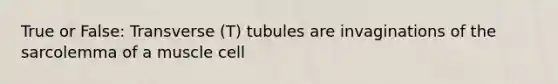 True or False: Transverse (T) tubules are invaginations of the sarcolemma of a muscle cell