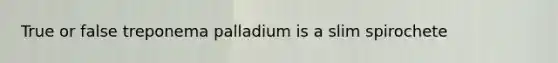 True or false treponema palladium is a slim spirochete