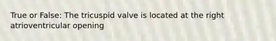 True or False: The tricuspid valve is located at the right atrioventricular opening