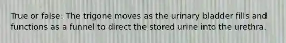 True or false: The trigone moves as the urinary bladder fills and functions as a funnel to direct the stored urine into the urethra.