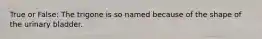 True or False: The trigone is so named because of the shape of the urinary bladder.