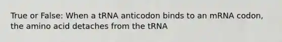 True or False: When a tRNA anticodon binds to an mRNA codon, the amino acid detaches from the tRNA