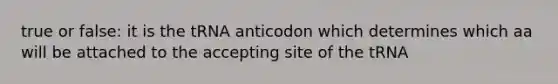 true or false: it is the tRNA anticodon which determines which aa will be attached to the accepting site of the tRNA