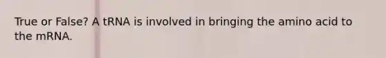 True or False? A tRNA is involved in bringing the amino acid to the mRNA.