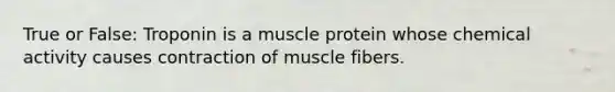 True or False: Troponin is a muscle protein whose chemical activity causes contraction of muscle fibers.