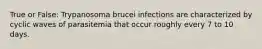 True or False: Trypanosoma brucei infections are characterized by cyclic waves of parasitemia that occur roughly every 7 to 10 days.